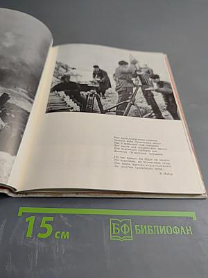 Зеленый пояс славы