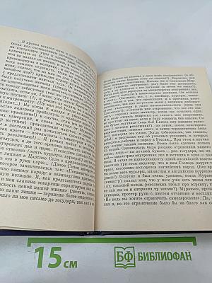 Перед штормом