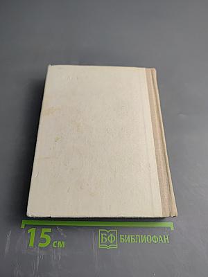 Саша Чекалин