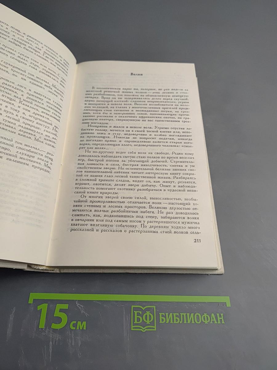 Дальние берега