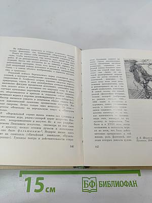 А.Н. Бенуа и русская художественная культура