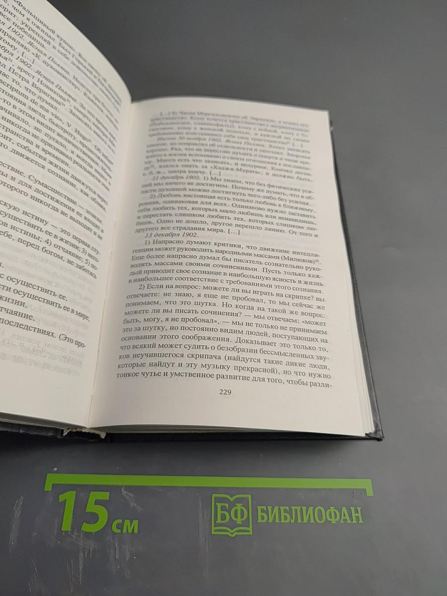 Исповедь. Тайный дневник