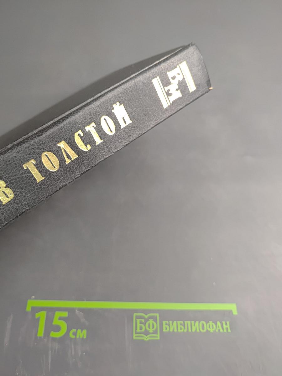 Исповедь. Тайный дневник