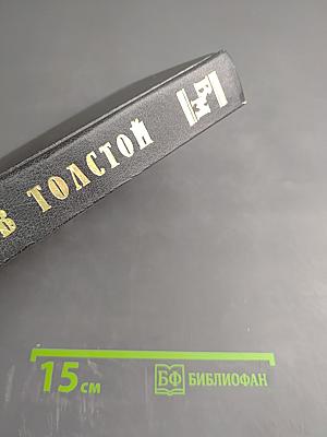 Исповедь. Тайный дневник