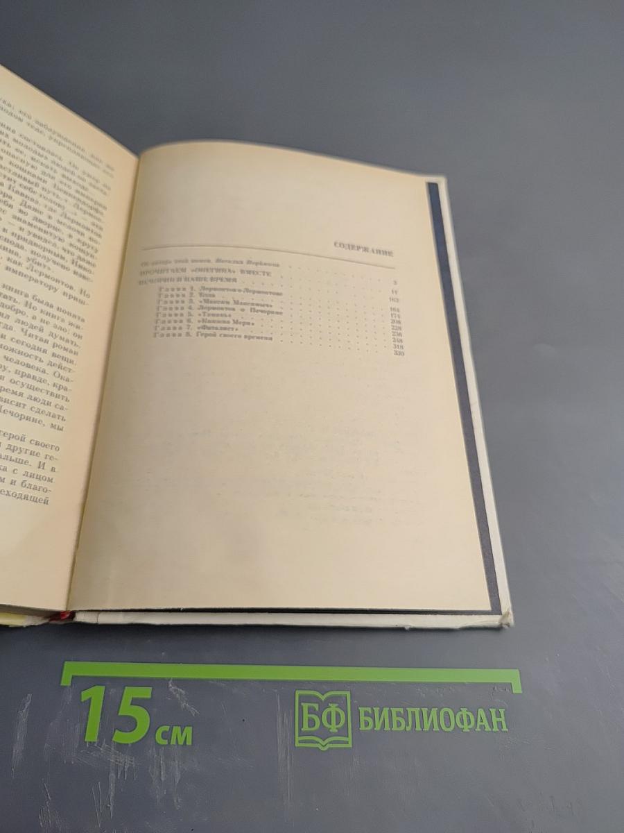 Прочитаем «Онегина» вместе. Печорин и наше время