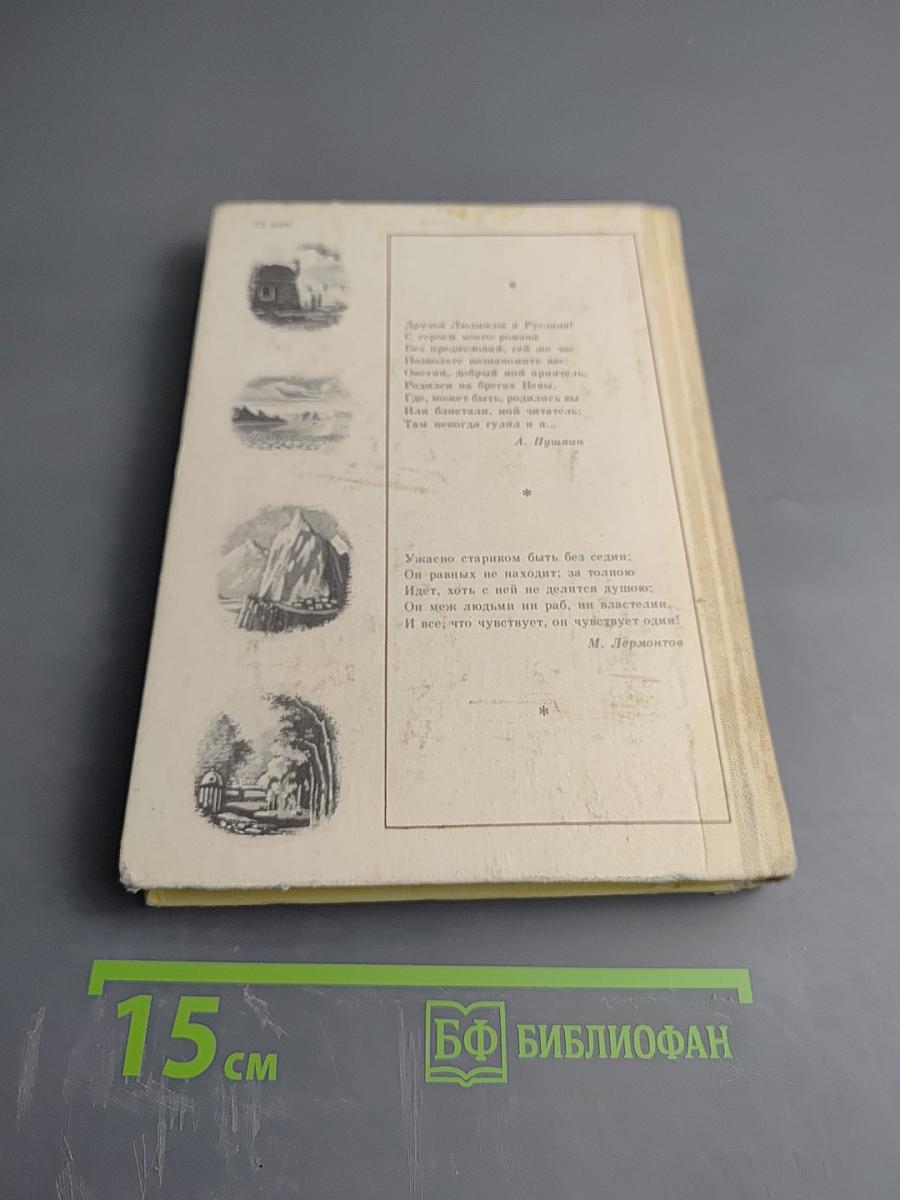 Прочитаем «Онегина» вместе. Печорин и наше время