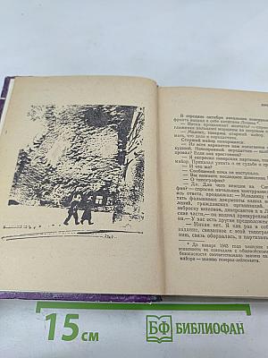 Злая звезда