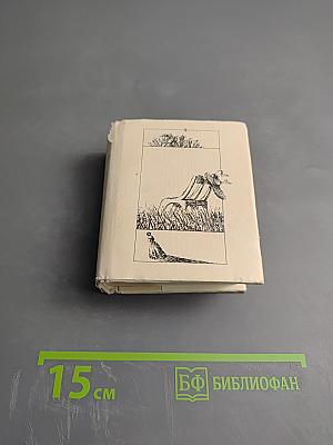 Волшебные звуки