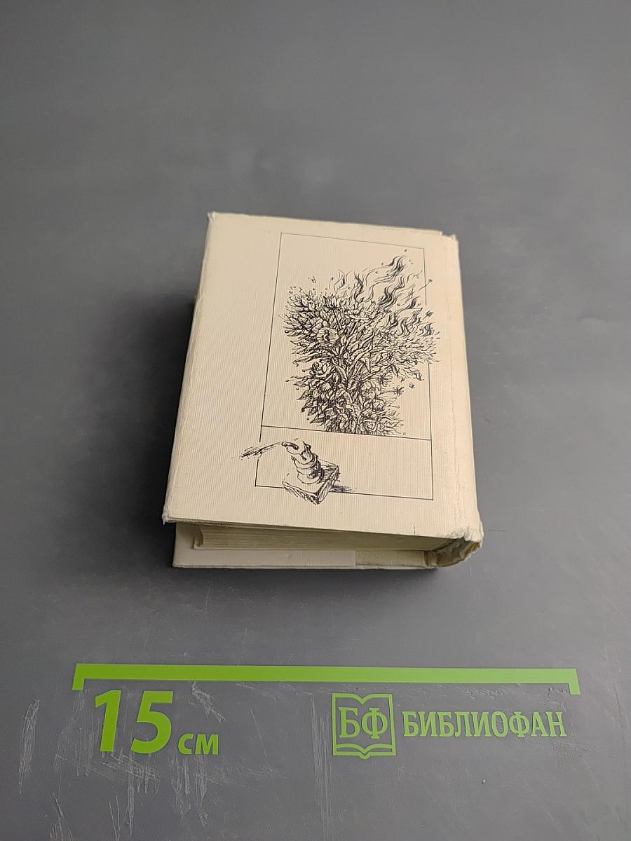 Волшебные звуки