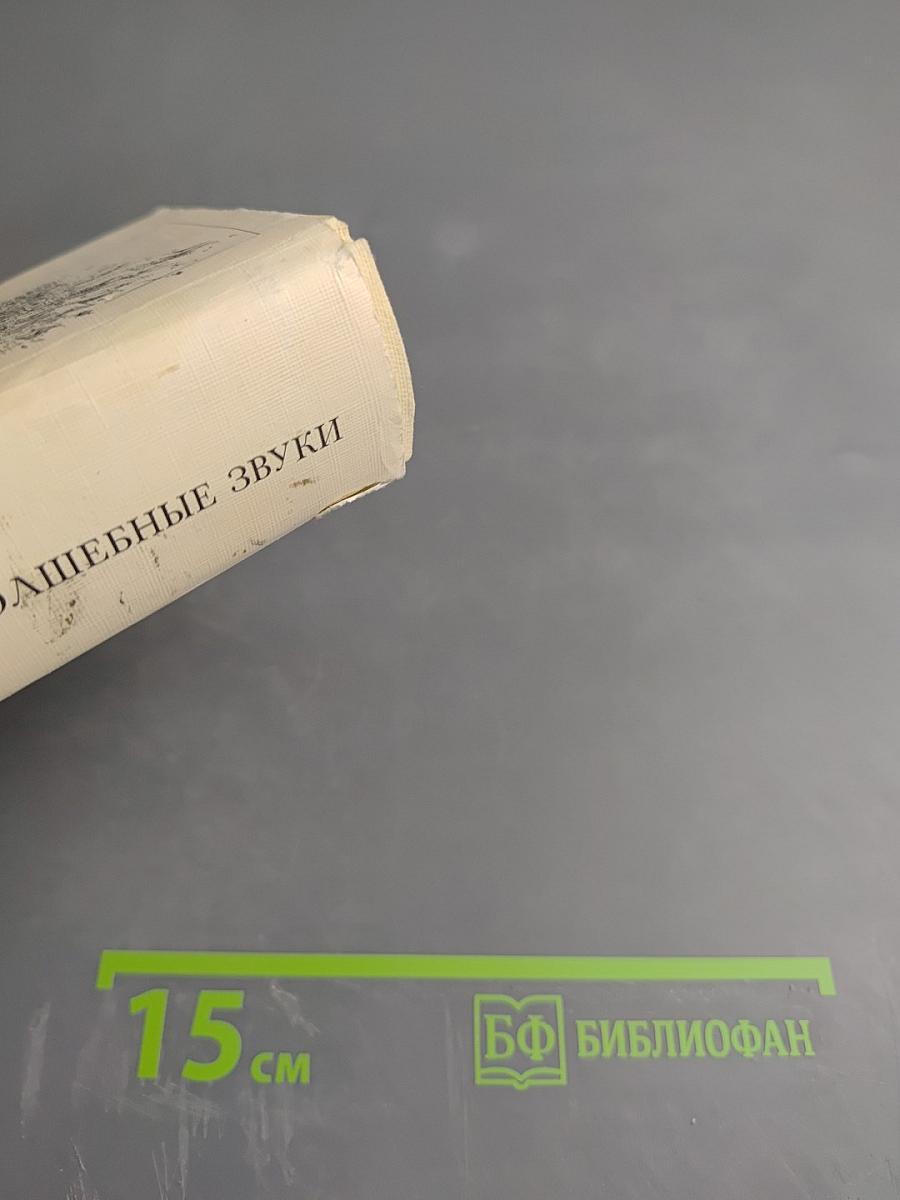 Волшебные звуки