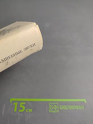 Волшебные звуки