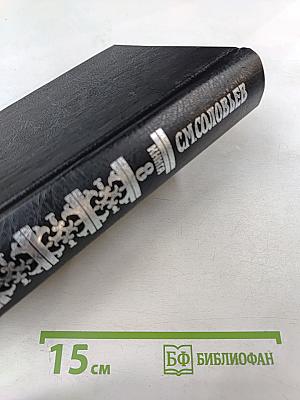 Сочинения. Книга 8. История России с древнейших времен. Тома 15-16