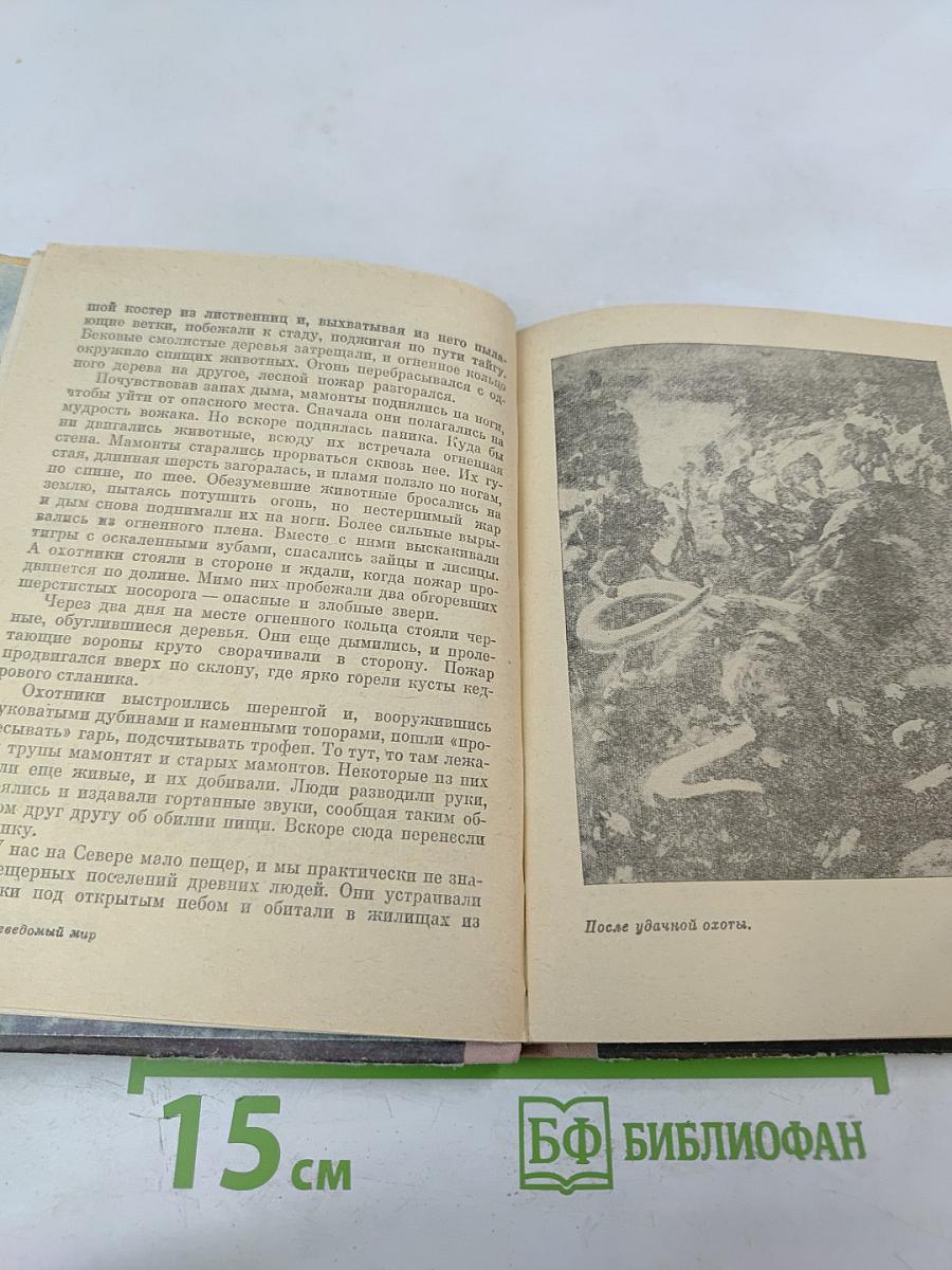 Внимание: мамонты!