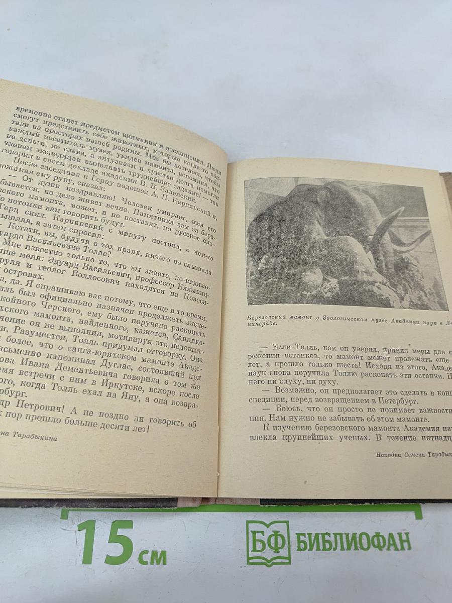 Внимание: мамонты!