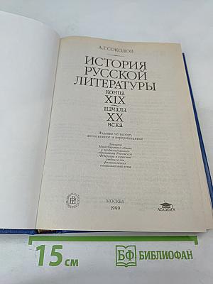 История русской литературы конца XIX - начала XX века