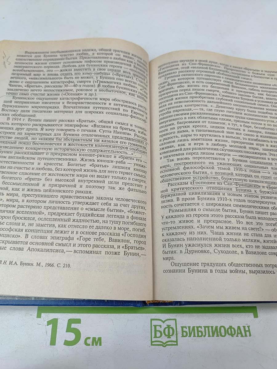 История русской литературы конца XIX - начала XX века