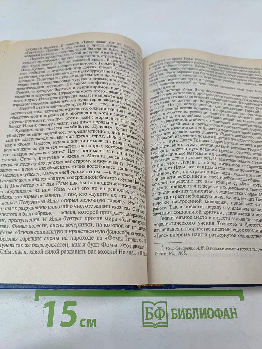 История русской литературы конца XIX - начала XX века