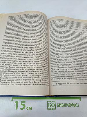 История русской литературы конца XIX - начала XX века