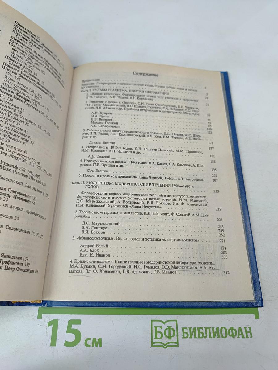 История русской литературы конца XIX - начала XX века