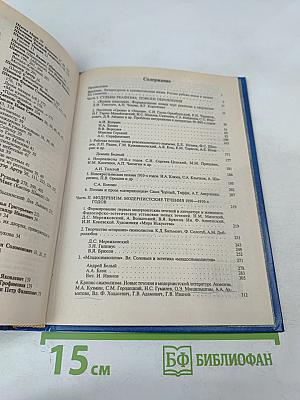 История русской литературы конца XIX - начала XX века