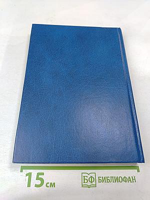 История русской литературы конца XIX - начала XX века