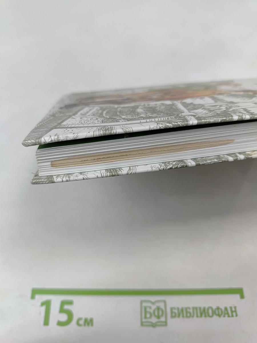 Мой друг Роллинзон