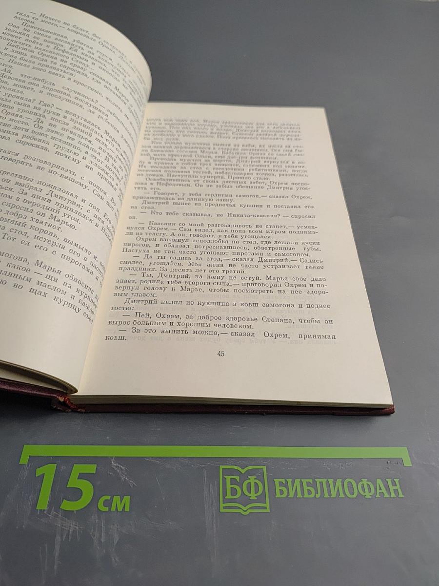 Сын эрзянский