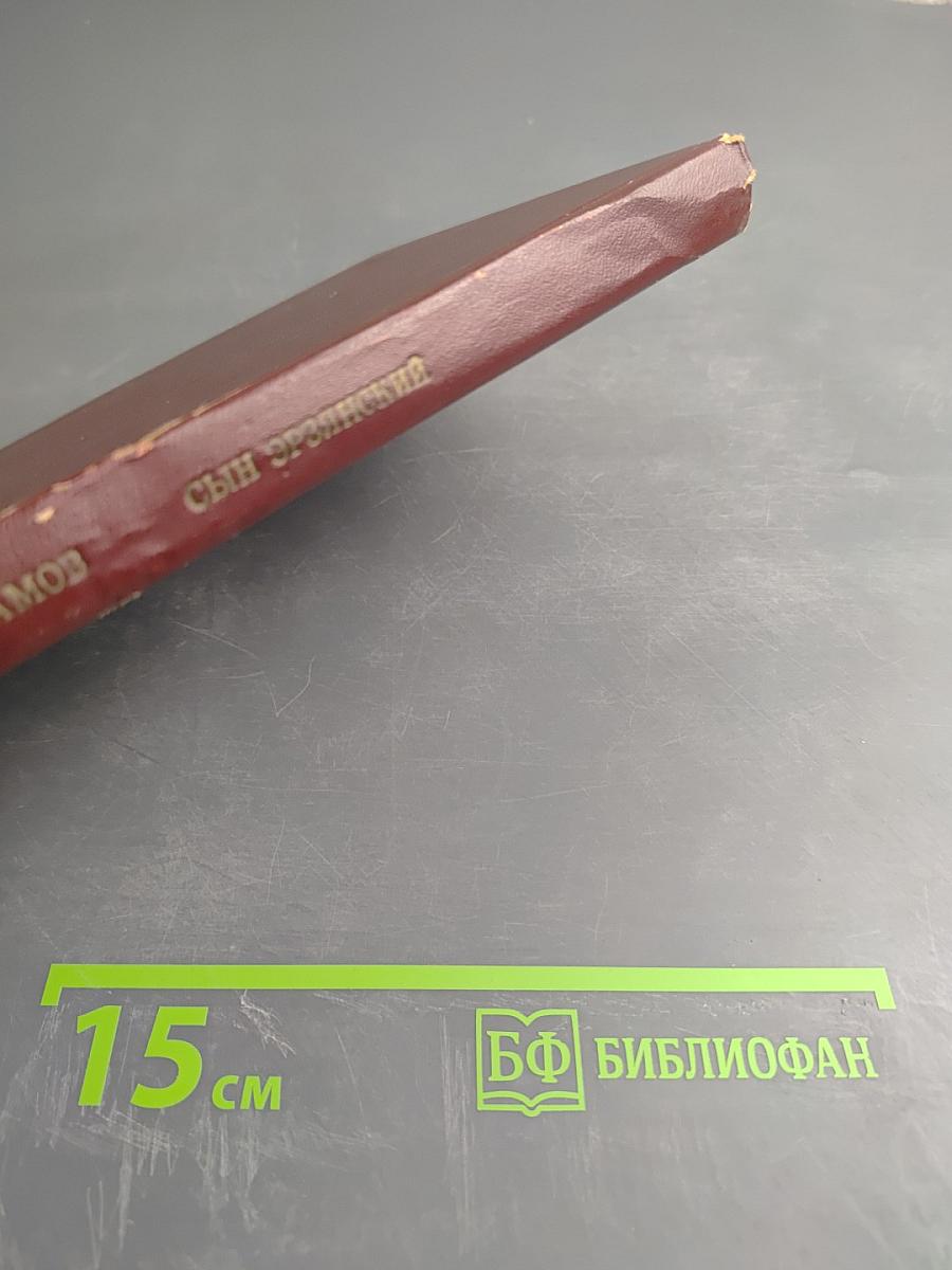 Сын эрзянский