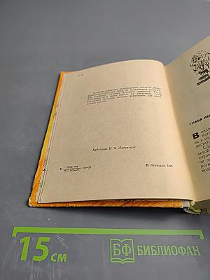 В середине лета