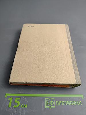 В середине лета