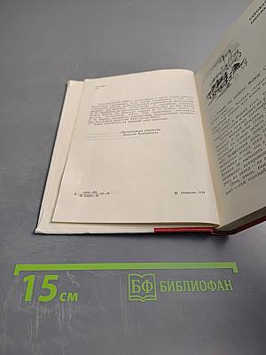 Его звали Любимыч