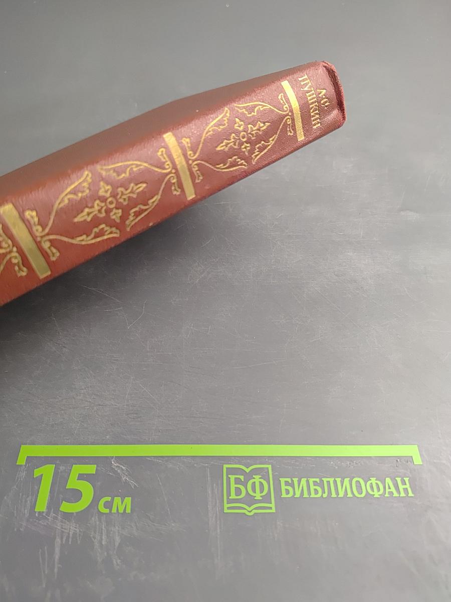 Собрание сочинений. Том десятый. Письма 1815-1830
