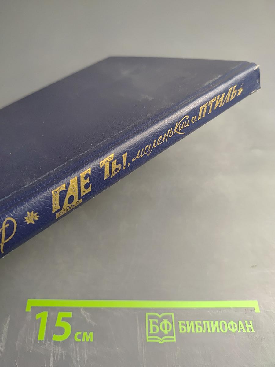 Где ты, маленький «Птиль»