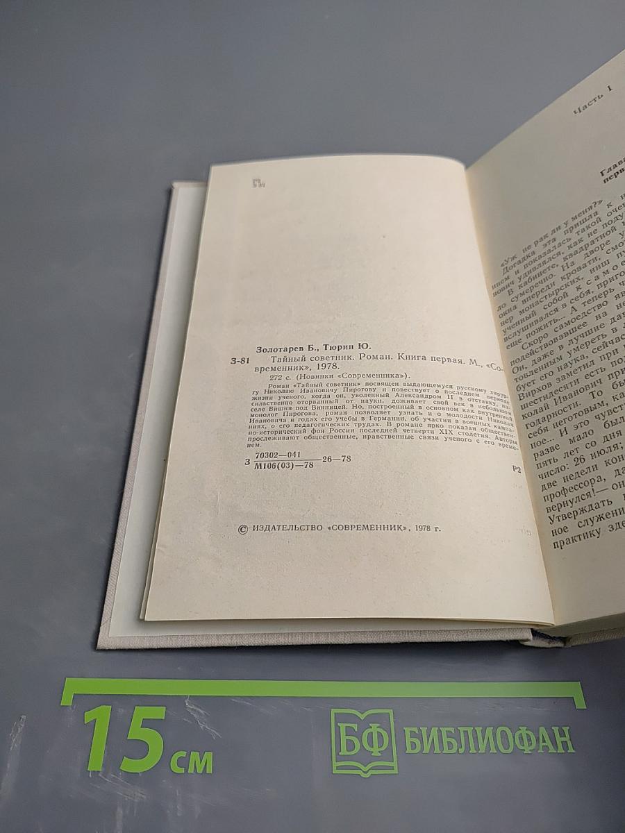 Тайный советник. Книга первая