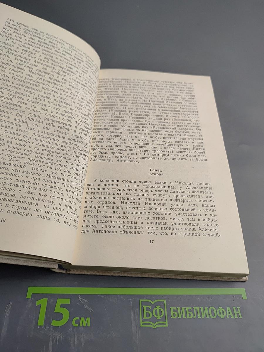 Тайный советник. Книга первая