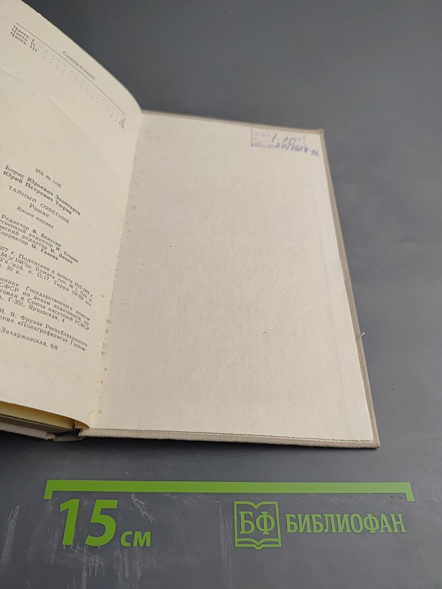 Тайный советник. Книга первая