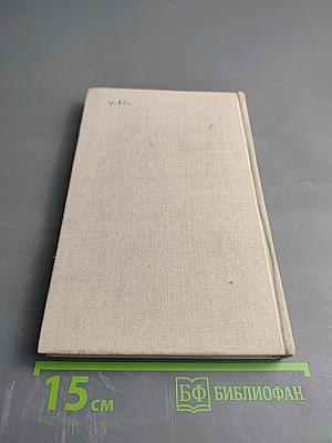 Тайный советник. Книга первая