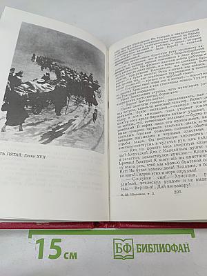 Собрание сочинений. Том 2. Тихий Дон