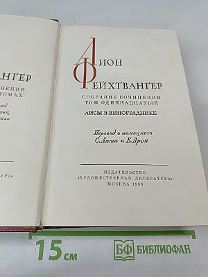 Лисы в винограднике