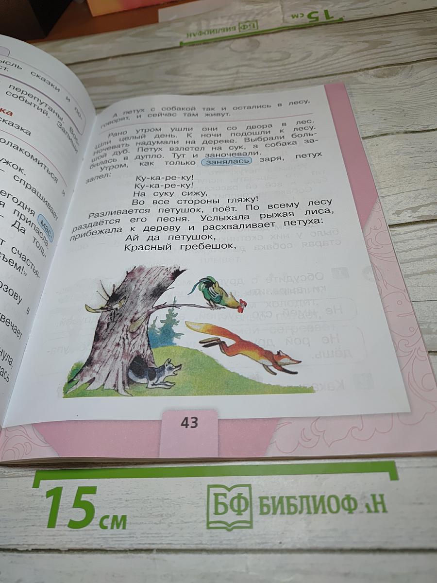 Литературное чтение. 1 класс. Часть 1