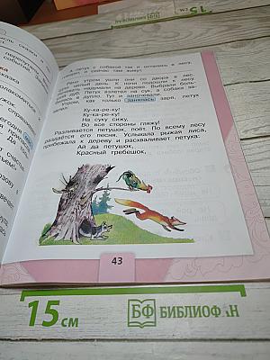 Литературное чтение. 1 класс. Часть 1