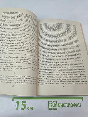 Цветок папоротника. Возвращение к Северу