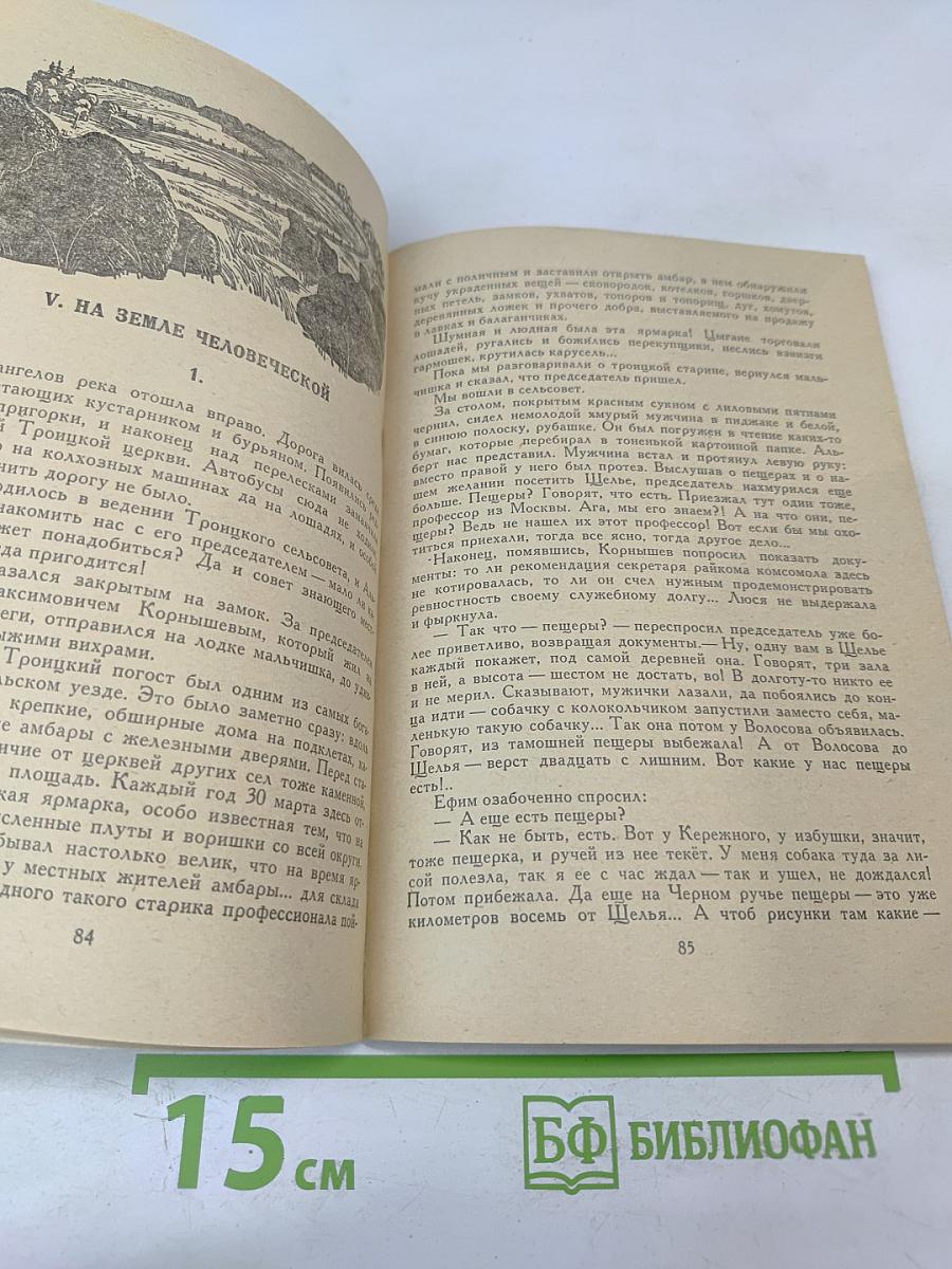 Цветок папоротника. Возвращение к Северу