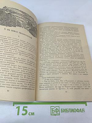 Цветок папоротника. Возвращение к Северу
