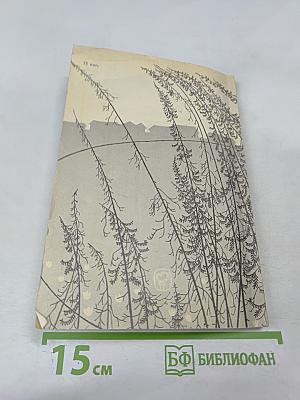 Цветок папоротника. Возвращение к Северу