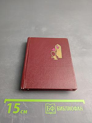 Дважды живёт поэт... избранная лирика