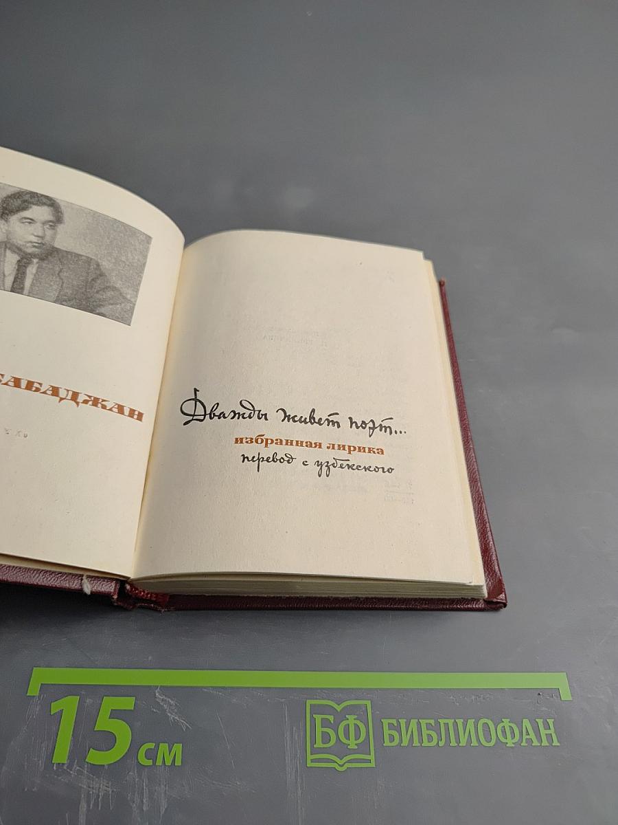 Дважды живёт поэт... избранная лирика