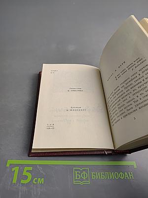 Дважды живёт поэт... избранная лирика