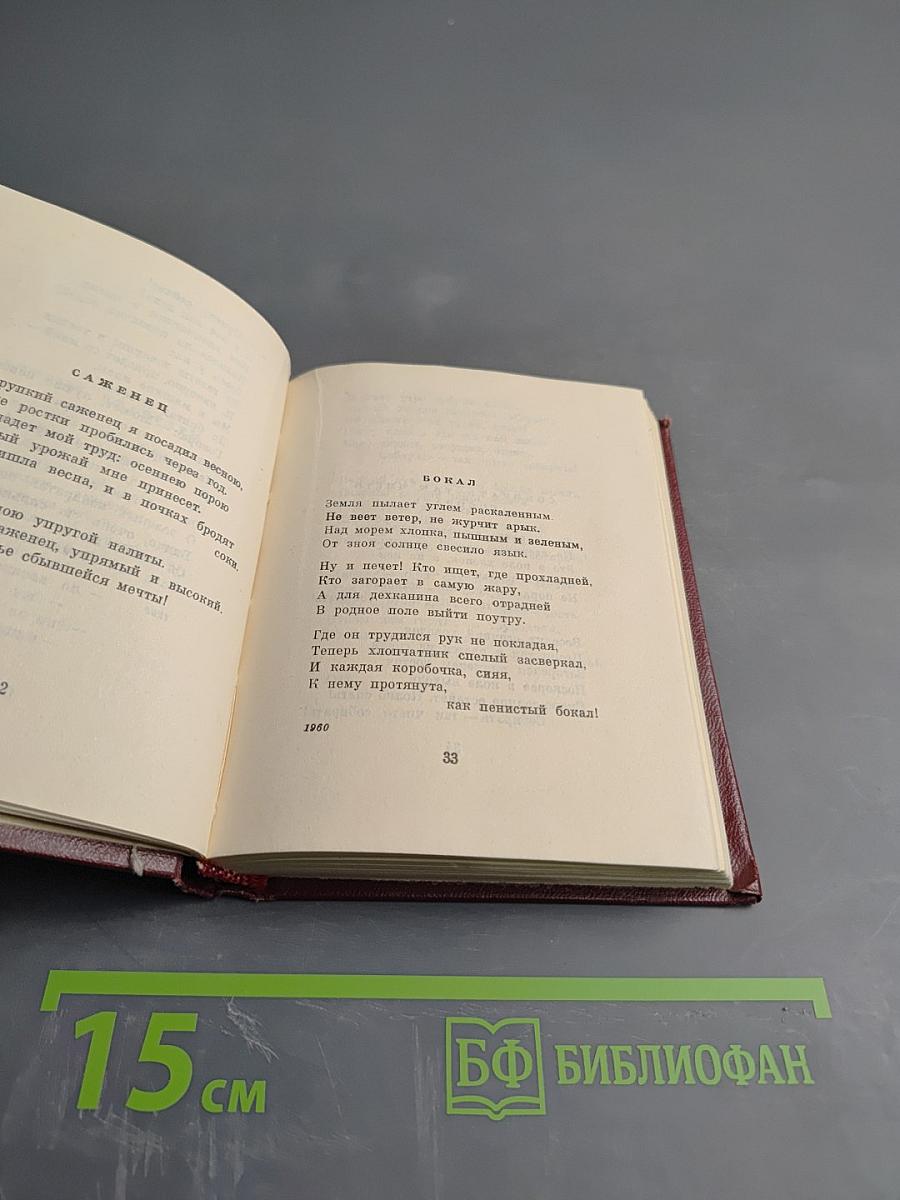 Дважды живёт поэт... избранная лирика