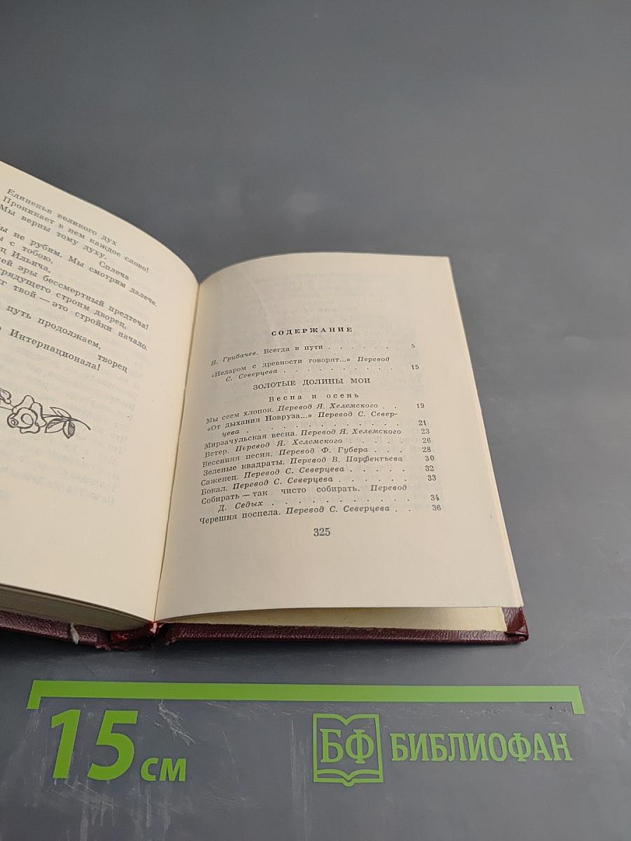 Дважды живёт поэт... избранная лирика